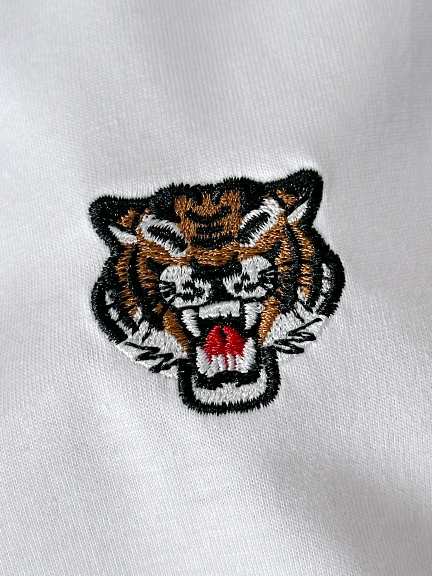 wg.luxury- K59zo Cotton embroidery 3colour item:E-F501C1119-3